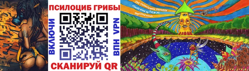 Галлюциногенные грибы Psilocybine cubensis  где найти наркотики  гидра ссылки  Арамиль 